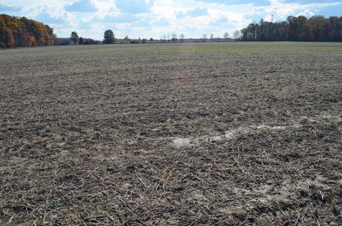 Property photo 32 - 75.3 Acres Offered in 2 Tracts